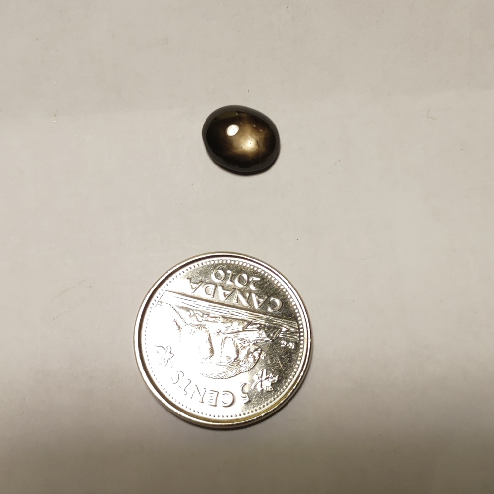 Black Star Sapphire Cabochon #70